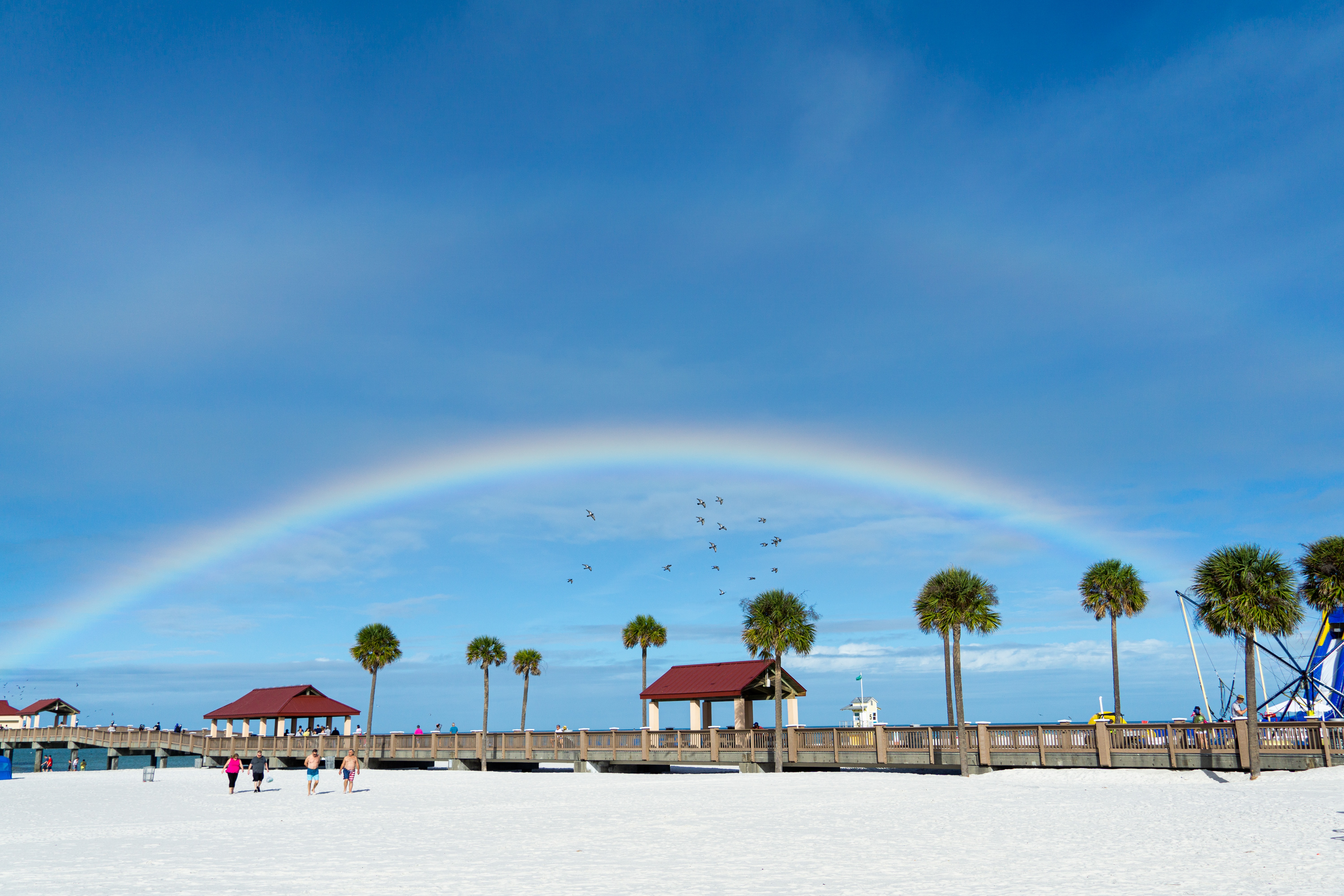 Visiting Clearwater Beach in the Fall?